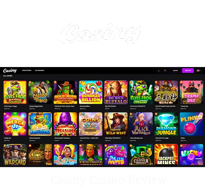 Casiny Casino Review