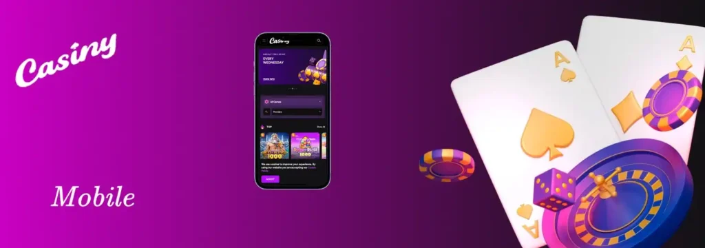 Casiny Mobile App and Access